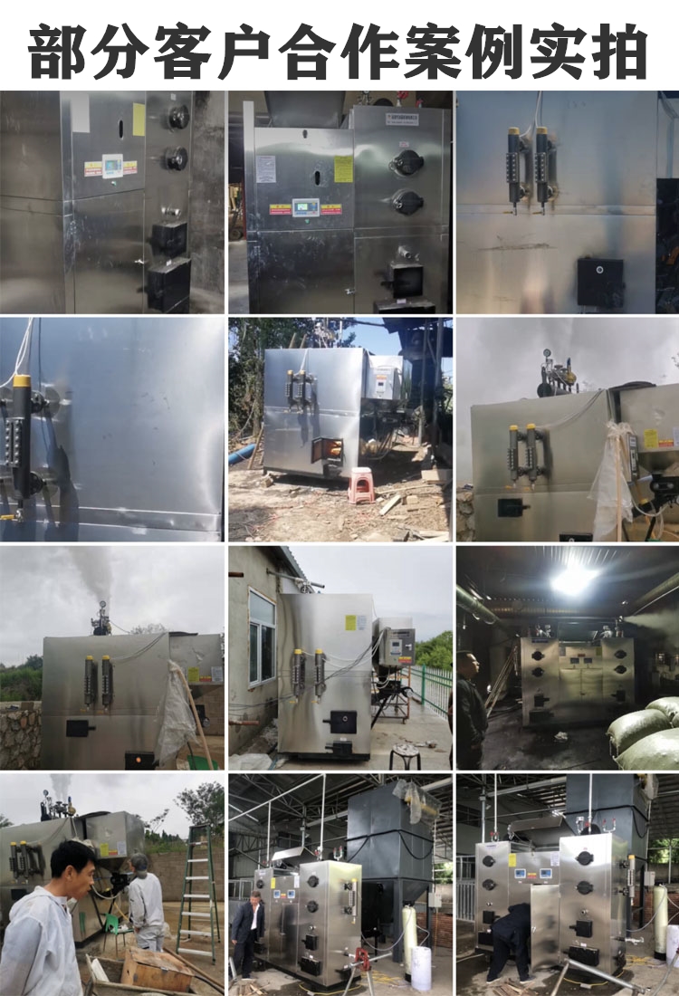 200kg biomass boiler clothing factory ironing steam furnace Ruiying steam generator