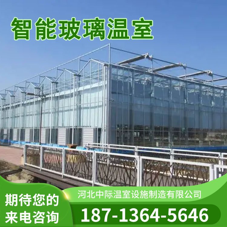 蓝莓避雨棚造价 玻璃阳光板薄膜日光温室大棚 包工包料热镀锌