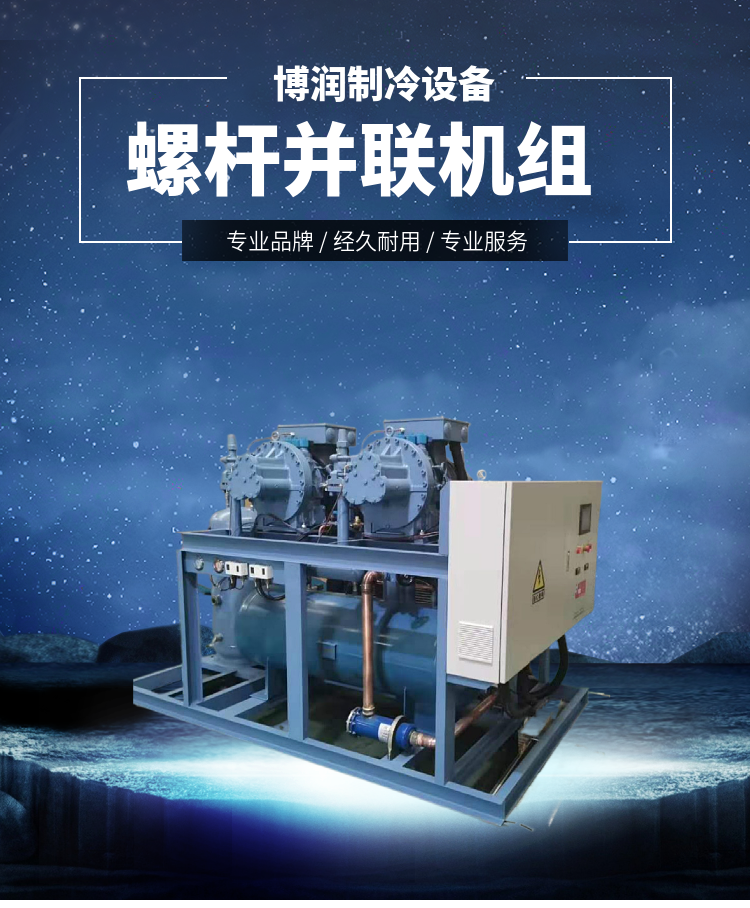 Daming RFC refrigeration unit cold storage brand energy-saving and efficient engineering Borun refrigeration cold storage equipment