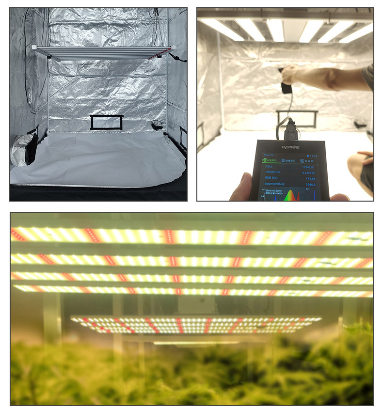 640w high-power hemp family full spectrum plant lamp 1000w octopus Grow light