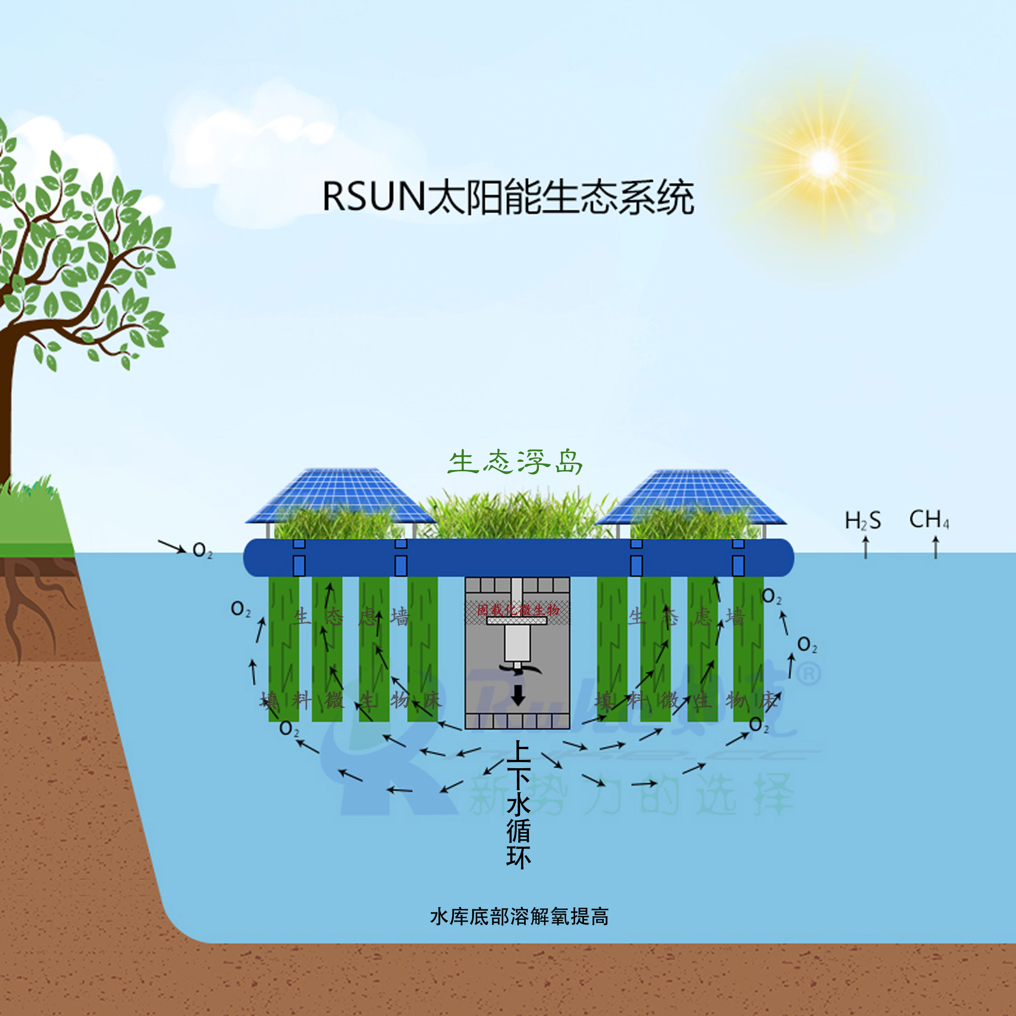 河道生态浮床水上植物种植浮板复合纤维浮动湿地 人工浮岛安装简便约20.00元(图7)