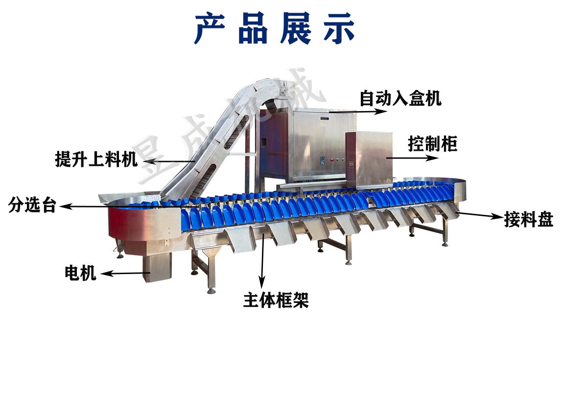 Yucheng betel nut automatic sorting machine sea cucumber traditional Chinese medicine weight grading accuracy high speed pear pomegranate fruit sorting machine