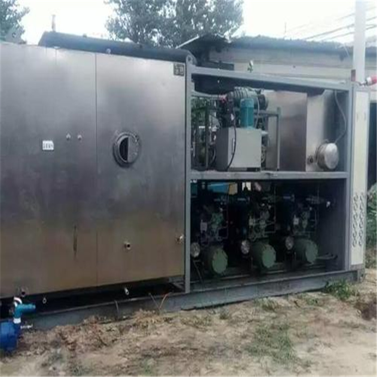 Used 20 square meter freeze-drying machine for fruits and vegetables, frozen health products, freeze-drying powder, medicine, freeze-drying, freeze-drying, and good freeze-drying effect