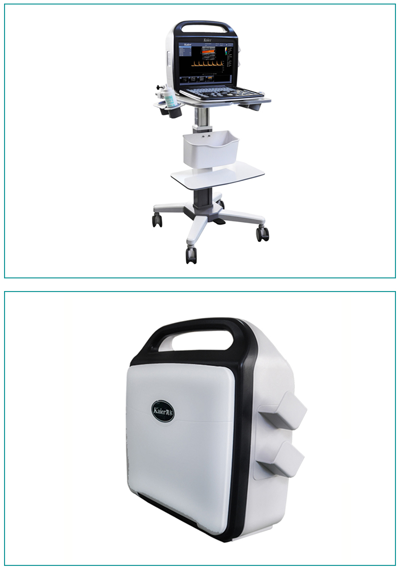 Kaier Pet Ultrasound Manufacturer Portable Equipment Animal B-ultrasound Machine Doppler Color B-ultrasound Machine