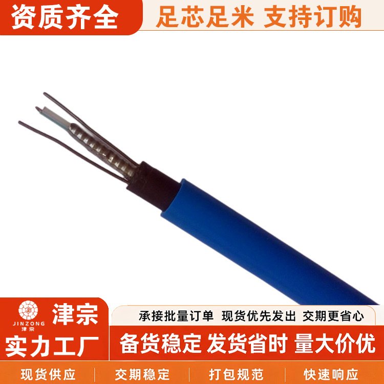 矿用测温传感光缆 矿井视频监控 MGTS33 288B 津宗
