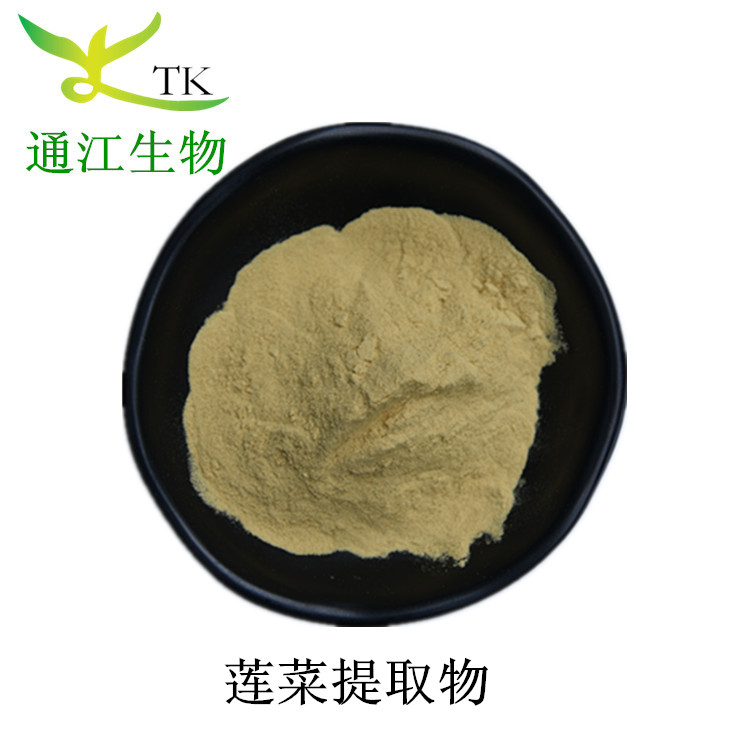 Lotus root extract, lotus root powder, water-soluble concentrated powder, food grade raw material