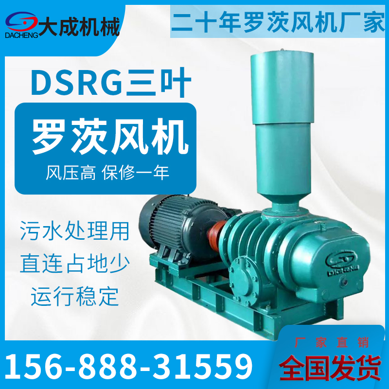 DSR200DG high-pressure Roots blower sewage treatment landfill pneumatic conveying desulfurization fan