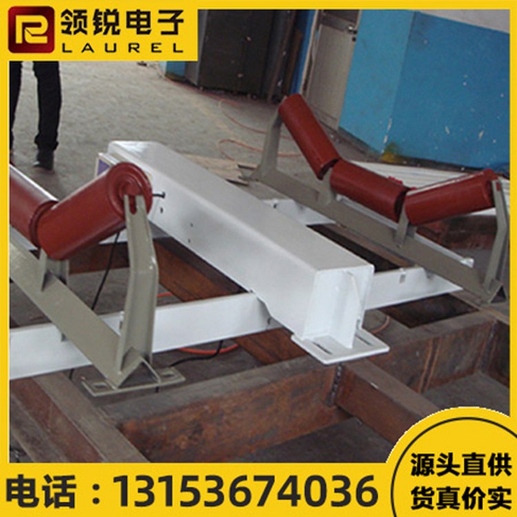 调速皮带秤 可进行调控 操作简单方便 领锐 精度高