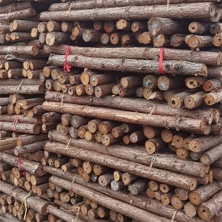 Hongyuan Building Materials sells 1-8 meter cedar poles online throughout the day, used for support and greening of bean pod greenhouses