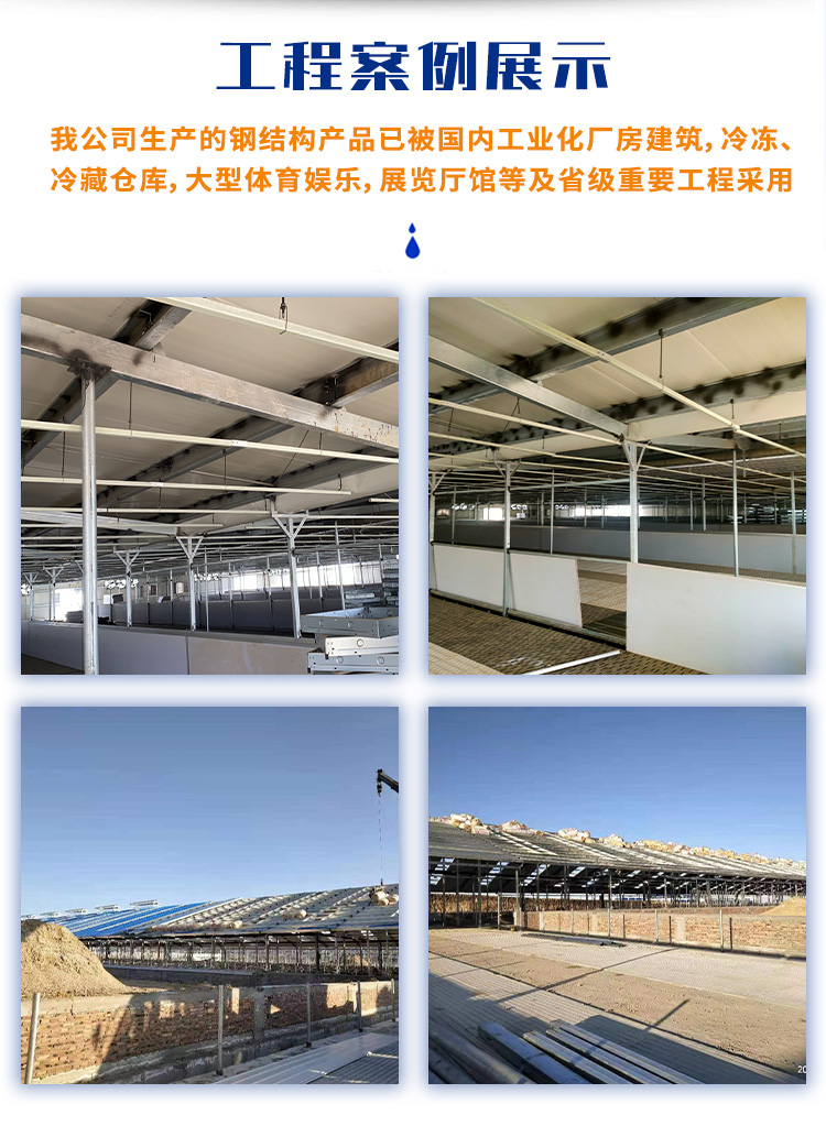 Li Ren Steel C-shaped steel, purlin support, purlin punching galvanized customized cold formed special shaped steel for building use