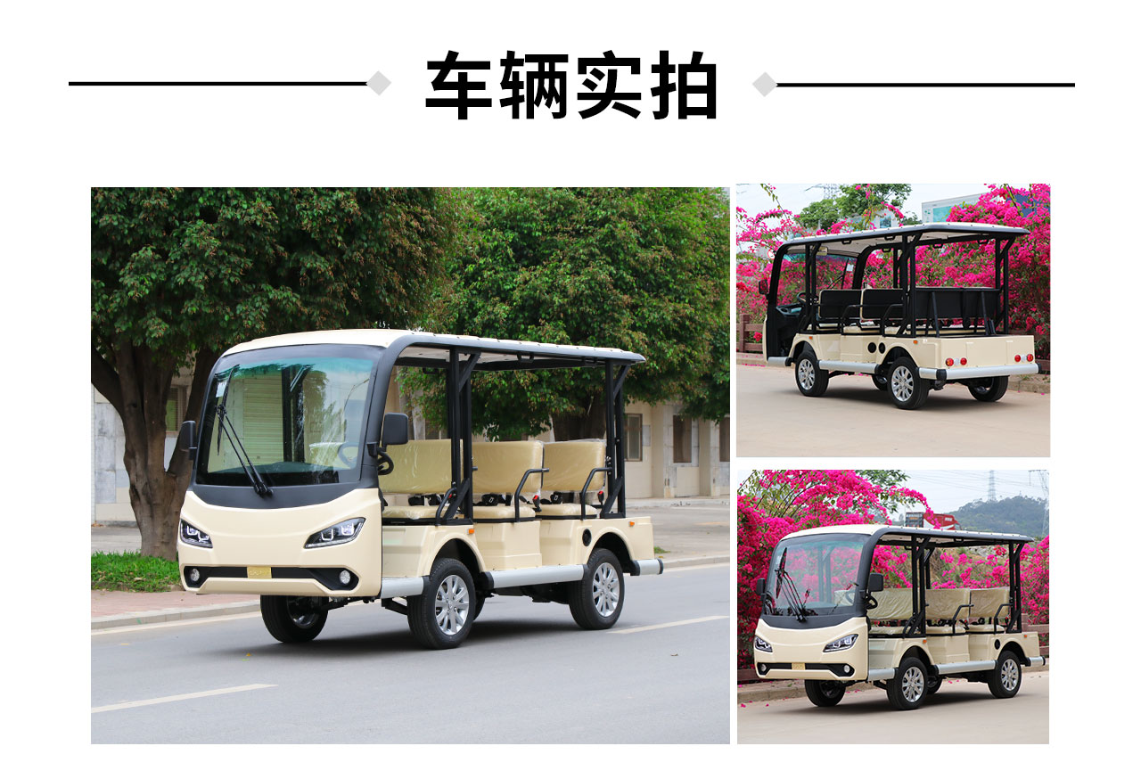 Donglang New Energy 8-seat electric sightseeing bus - Tour bus service D-G8