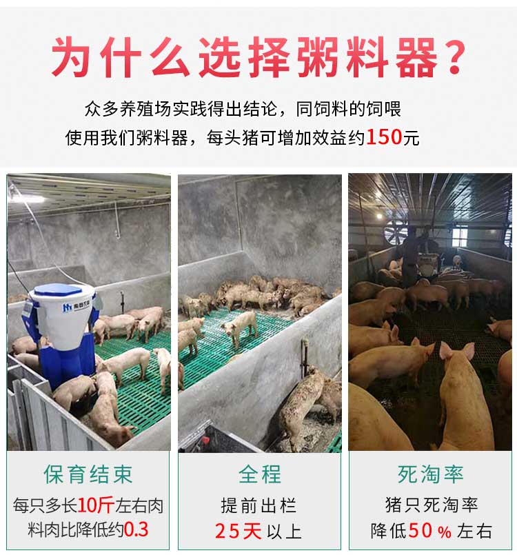 Intelligent automatic Congee feeder pig Congee feeder pig free feeding trough pig farm liquid feeding equipment