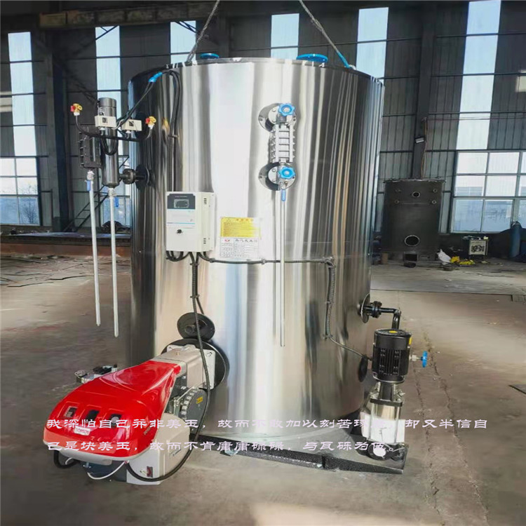 Brewing steam generator 300 kg grain steamer with steam boiler Biomass particle steam boiler