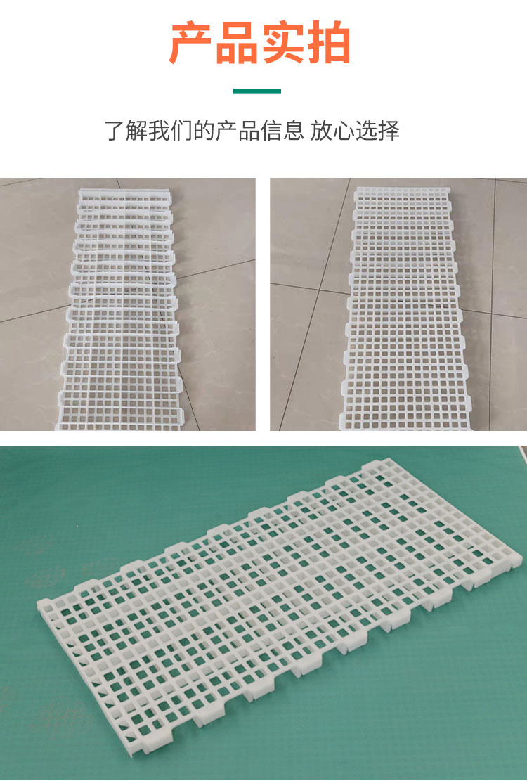 Supply of fecal plates for chickens, ducks, and geese, using plastic mesh beds for poultry breeding