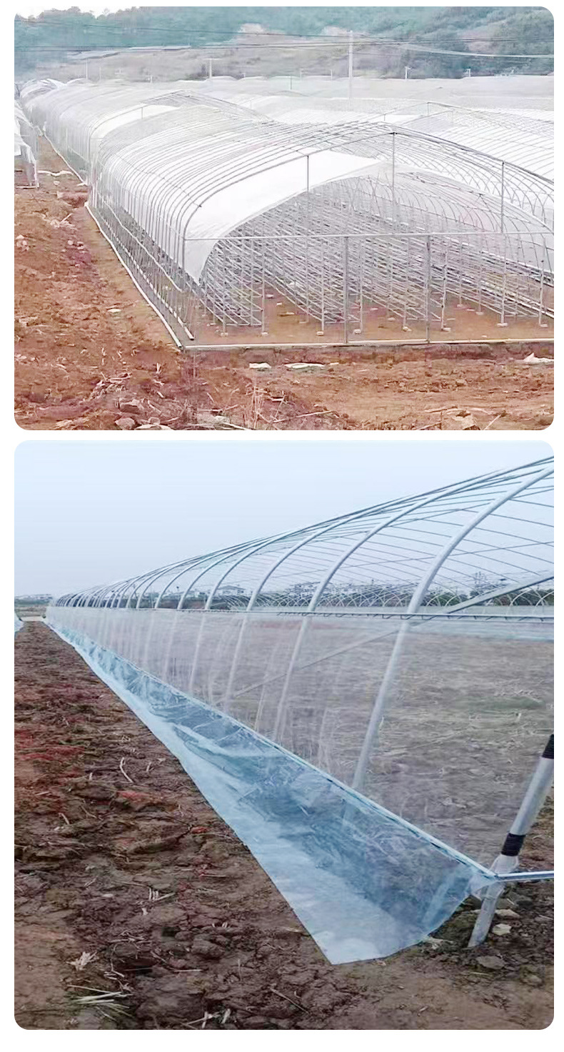 New style grape planting shed, off-season fruit greenhouse, single arch greenhouse, greenhouse pipe spot, Taiyouyi factory