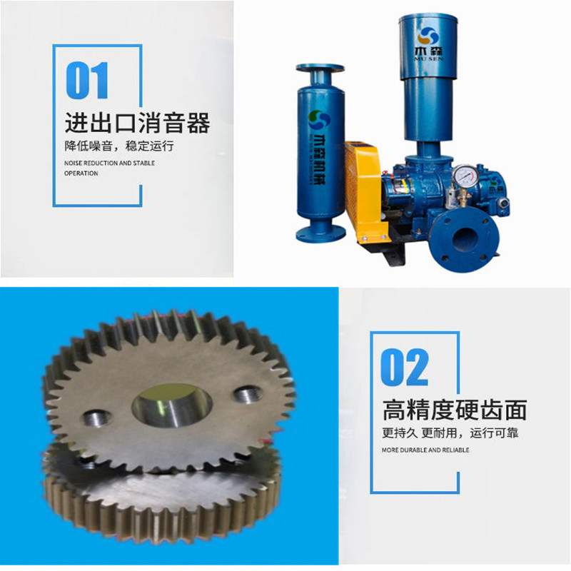 Fish pond aquaculture aerator aerator pump Roots blower sewage treatment aerated powder conveying pressurized