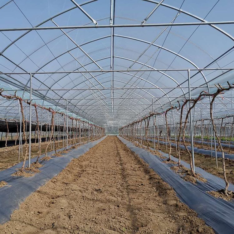 Shuaifeng Greenhouse Plastic Greenhouse Film Greenhouse Film PE Transparent Film Manufacturer Long term Cooperation Purchase by Phone