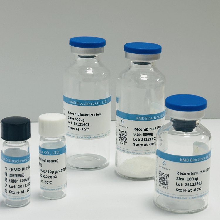 程序性死亡分子/Programmed cell death protein 1蛋白 免疫检查