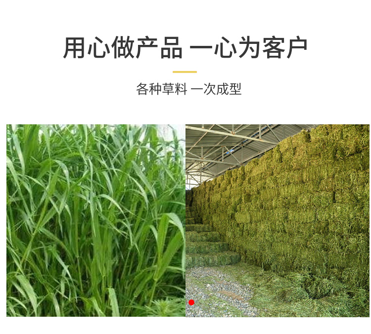 Fully automatic straw baler, square bundle, green storage, and grass material briquetting machine, small hydraulic grass baler