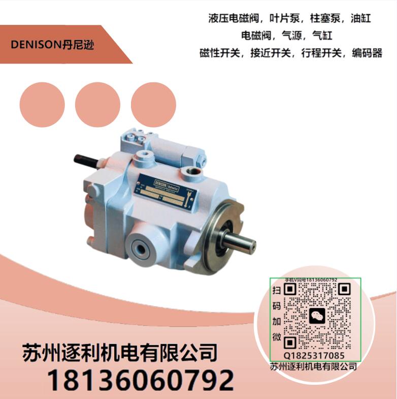 Denison Vane Pump T6C/D/E-017/25/45 Hydraulic T6CC/DC/ED Dual Oil Pump Core