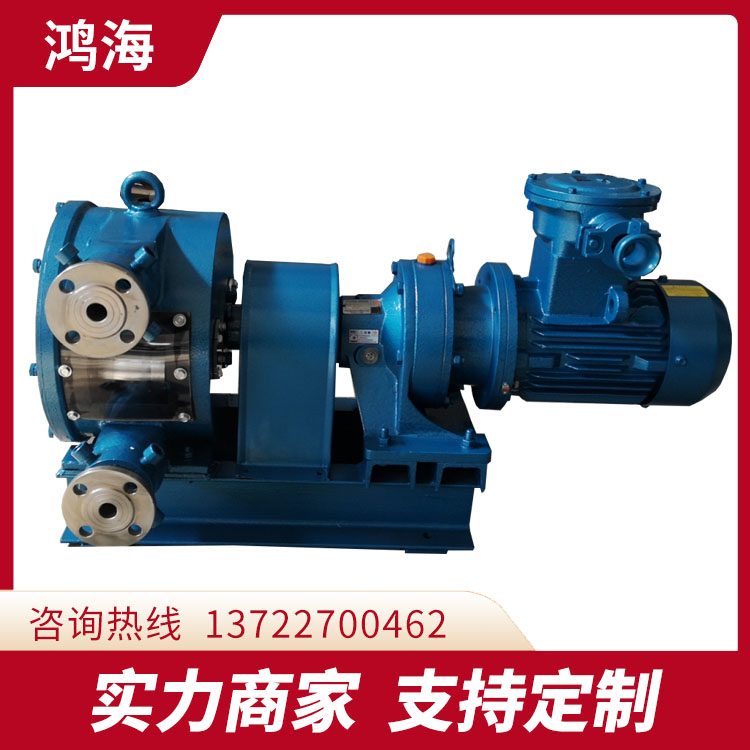 3寸工业软管泵 火锅底料泵糖稀蜂蜜树脂蠕动泵 支持定制 鸿海泵业
