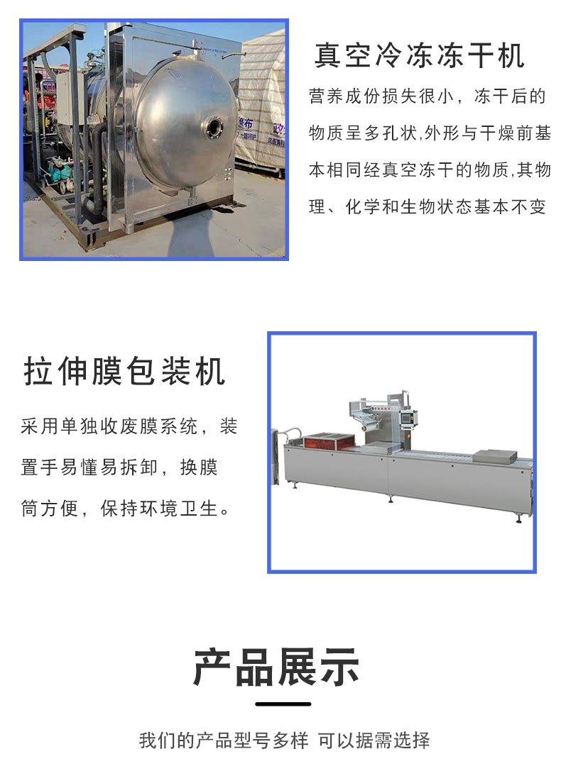 Multifunctional second-hand food low-temperature freeze-drying machine runs stably with low noise