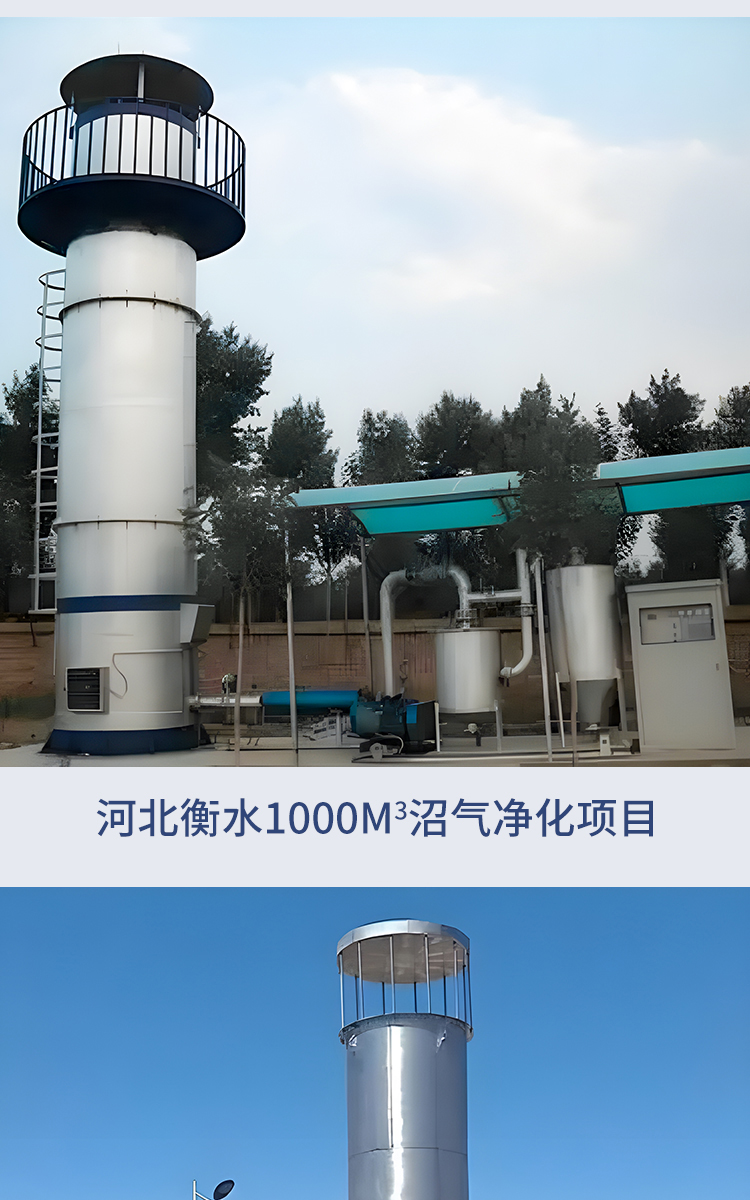 Landfill biogas torch Hongshuo breeding farm internal combustion biogas discharge equipment Garbage landfill biogas combustion torch