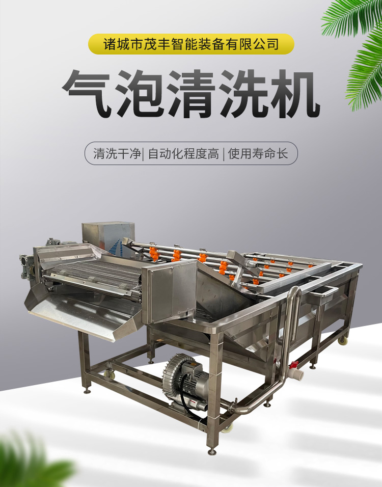 Fruit and Vegetable Bubble Cleaning Machine Fully Automatic Surf Cleaning Equipment Tomato Large Ultrasonic Cleaner