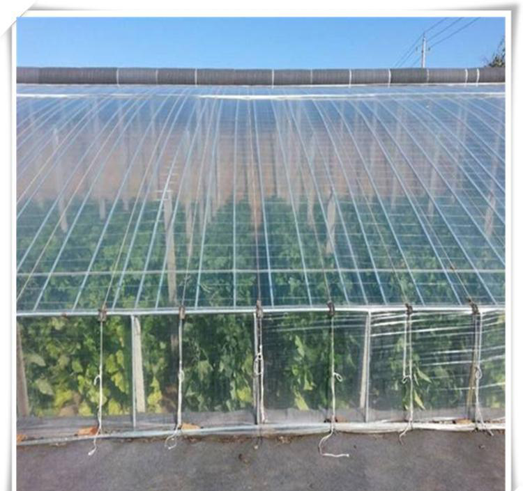 Shuaifeng manufacturer wholesale greenhouse drip free plastic film vegetable greenhouse PE transparent plastic cloth manufacturer customized shipment