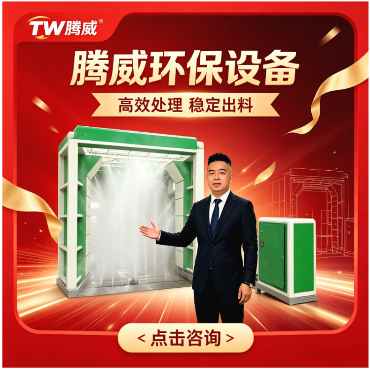 TW腾威龙门摇摆洗车机 自动冲洗 煤矿矿山砂石场工程车辆清洗设备