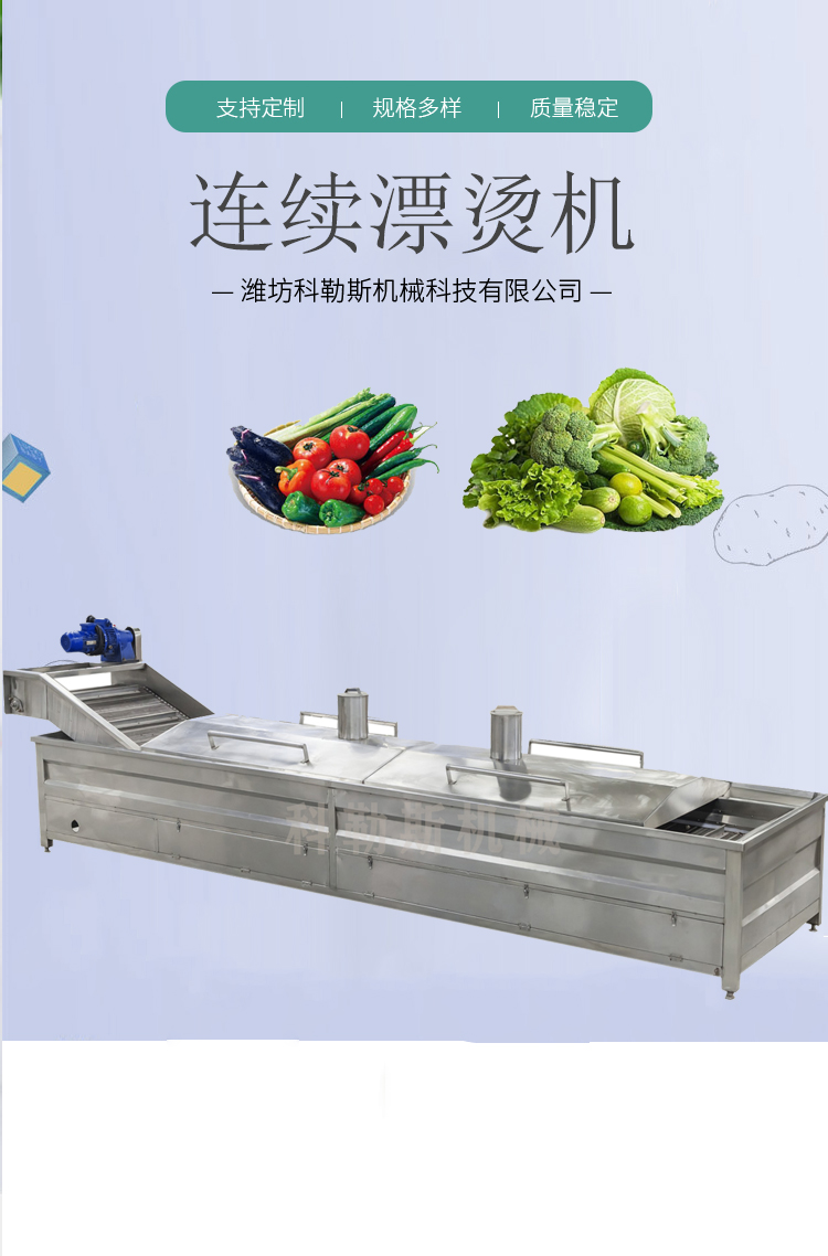 Continuous blanching line LPT3000 vegetable and fruit pasteurization machine runs smoothly and is easy to maintain