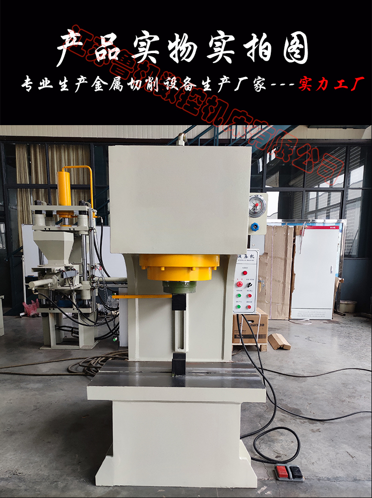 Luji CNC YL41-200T single arm hydraulic press 200t fast Hydraulic press punching and stretching