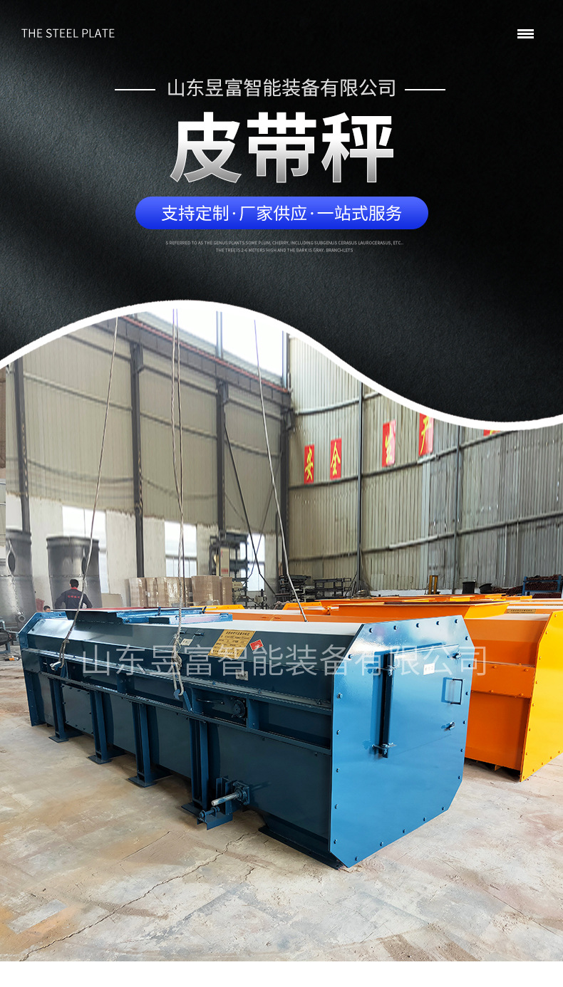 Mining belt feeder constant speed belt scale weighing coal feeder electronic belt scale coal feeding equipment