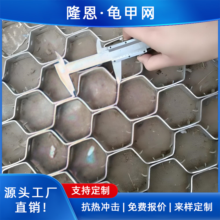 不锈钢炉窑六角网 耐高温 板厚3mm 隆恩龟甲网厂家