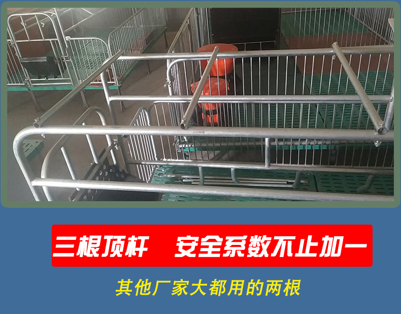 Pig breeding equipment, pig production bed, sow production bed, single body sow production bed, gathering place