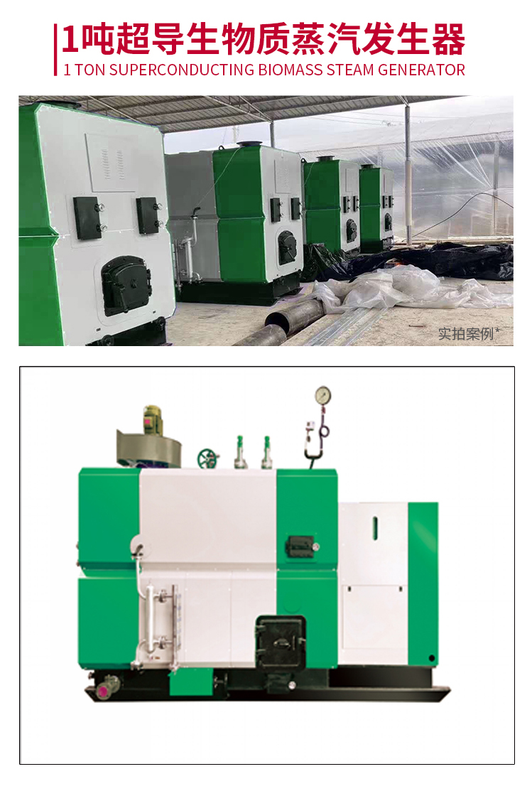 Pareton Biomass Steam Generator manufacturer, large horizontal particle size, free from supervision and inspection, fully automatic industrial 2 tons