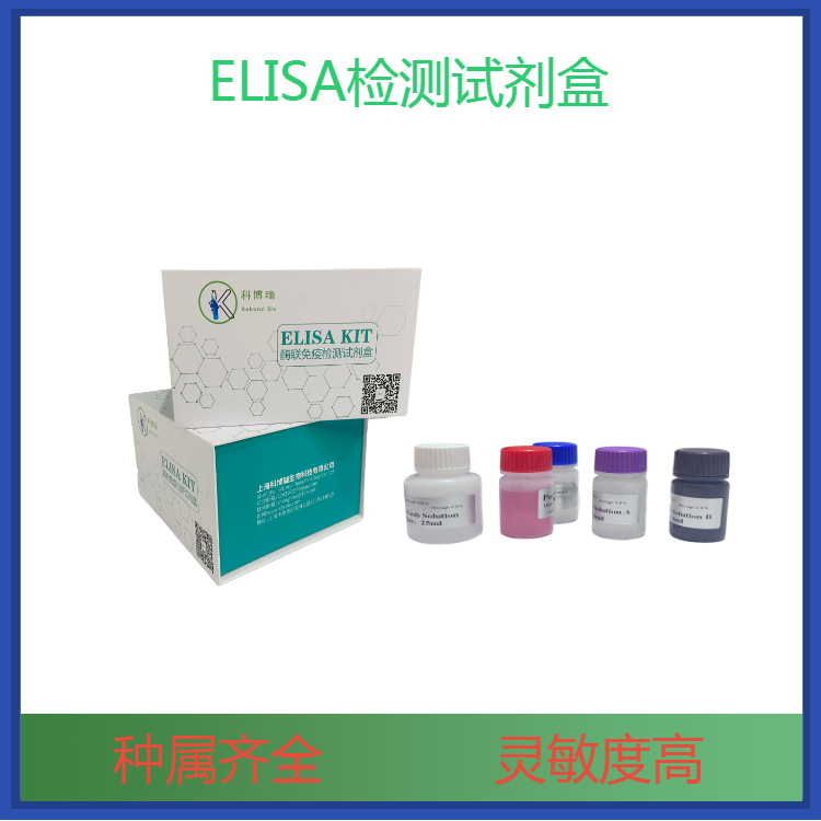 大鼠细胞色素P45019A1(CYP19A1)elisa试剂盒快捷1.5H出结果