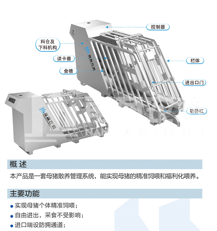 Automatic feeding equipment for sows in the delivery room, multi-level self-locking feeding pens and feeding devices