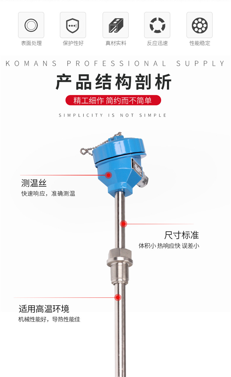 PT100 armored wear-resistant thermal resistance assembly type K platinum rhodium thermocouple WZP2-230PG