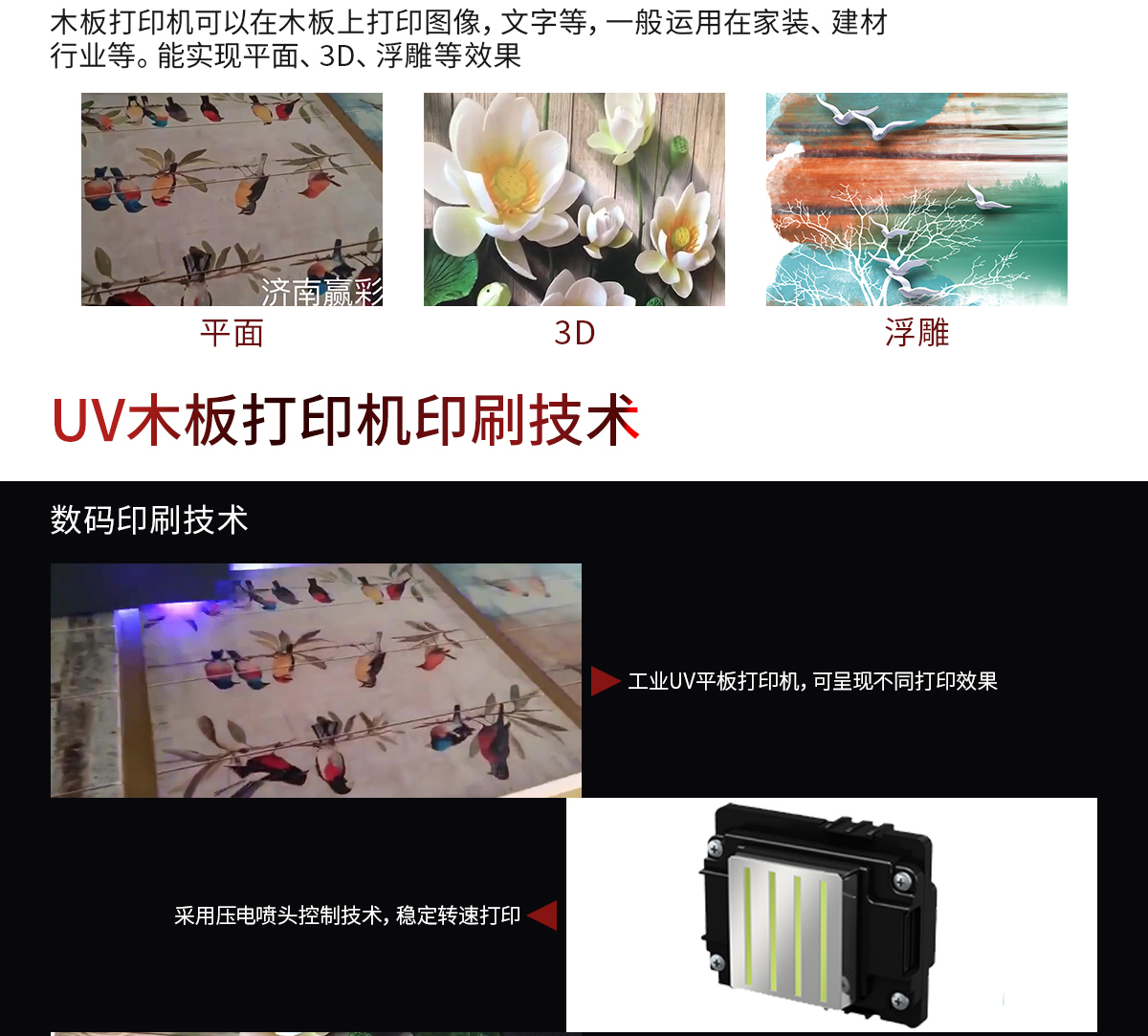 Entai Bamboo Wood Fiber Integrated Wallboard Printing Machine PCB Board UV Printer 2512UV Digital Printer