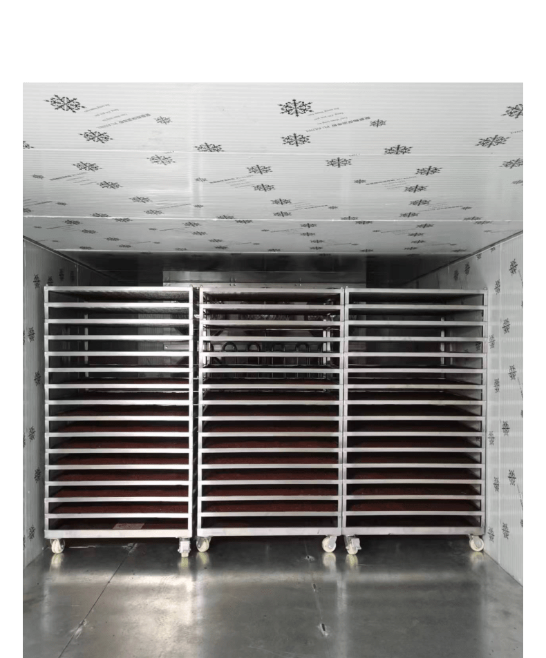 Custom mulberry fruit and vegetable drying room seafood low-temperature Dehumidifier high-temperature drying oven