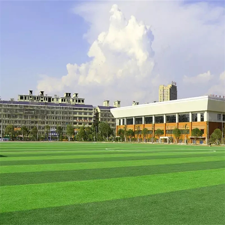 Artificial turf, football field, silicon PU, blue ball field, production of field ground materials, Shengfei Sports