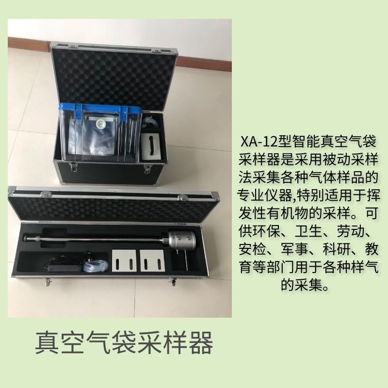 Portable odor gas sampler for detecting fixed pollution sources in air bags