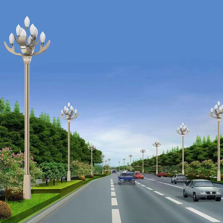 Customized municipal road combination lamp, Zhonghua Lamp, large LED landscape Yulan Lamp, Runchang Lighting