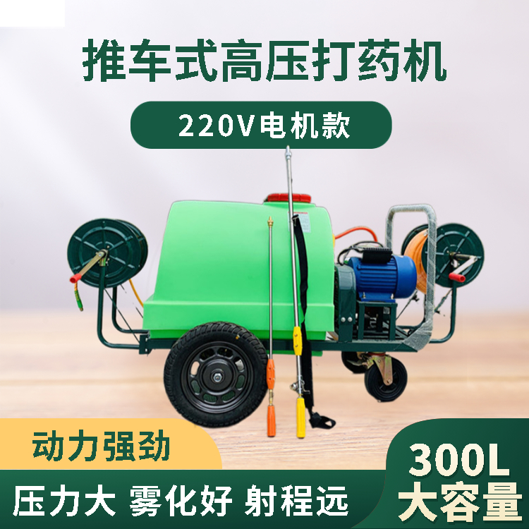 ZC300L manual gasoline sprayer garden fruit tree cart spray double spray cleaning epidemic prevention disinfection