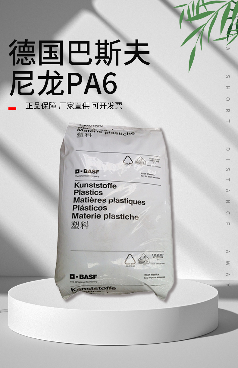 BASF PBT B 6550 flame retardant high viscosity automotive industry application PC