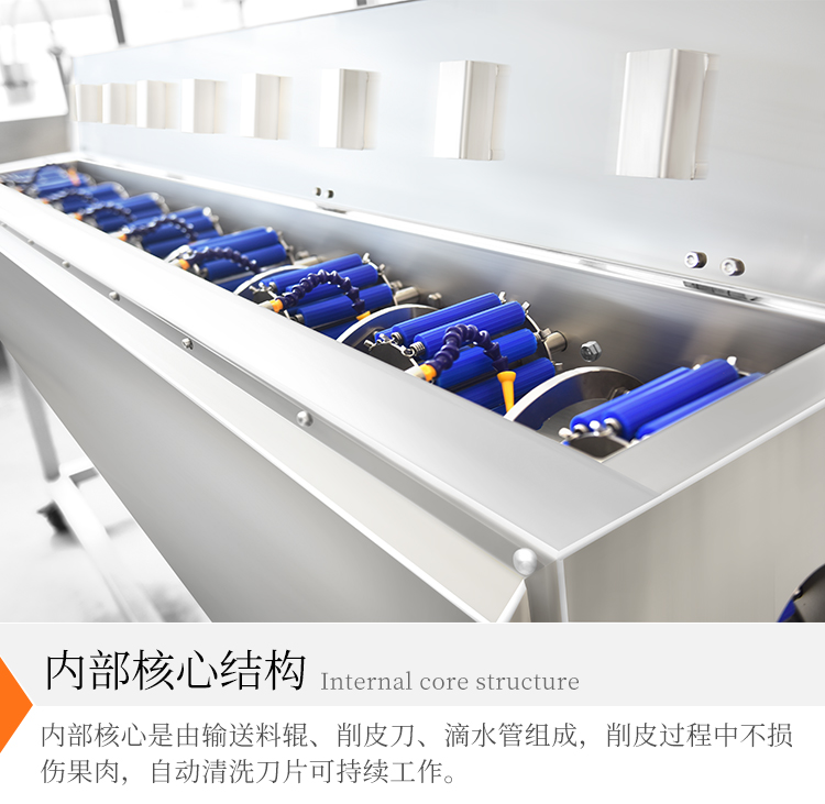 Ganyun Commercial Vegetable Distribution Center Peeling Machine White Radish Peeling Machine