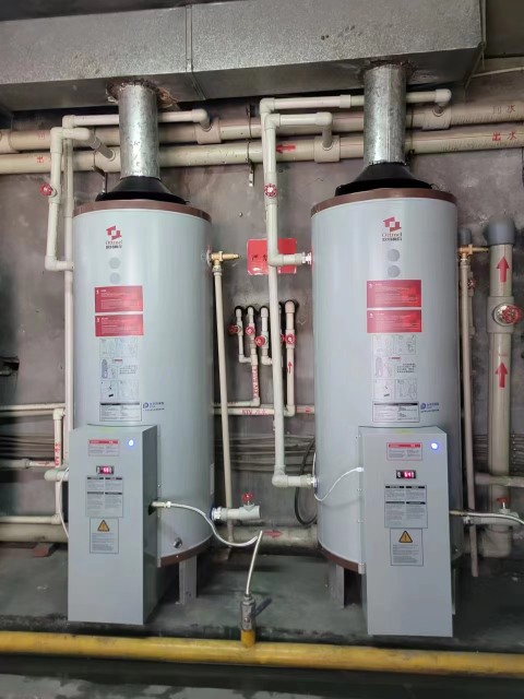 Outemer Commercial Gas Capacitor Water Heater Gas Water Heater Hotel School Hospital