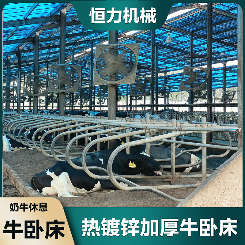 Hengli Brand Cattle Raising Equipment - Cattle Beds for Cows - Cattle Beds for Cows - Corrosion-resistant, Comfortable, Rustproof, and Galvanized Pipes