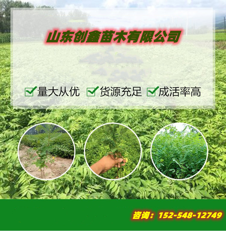 Explanation of 0.8cm Lingxiao Seedling Fertilizer and Water Irrigation Technology with Good Performance in Provincial Artificial Climbing and Fertilization for Garden Construction